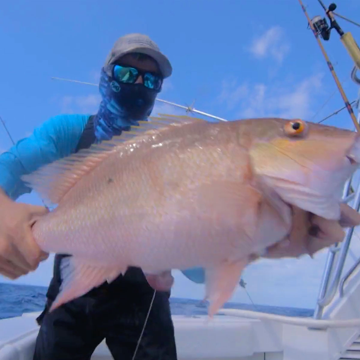 Work Moroch Partners